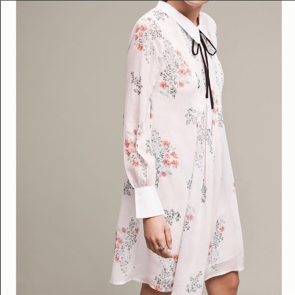 Anthropologie HD In Paris Louisa Swing Dress XSP